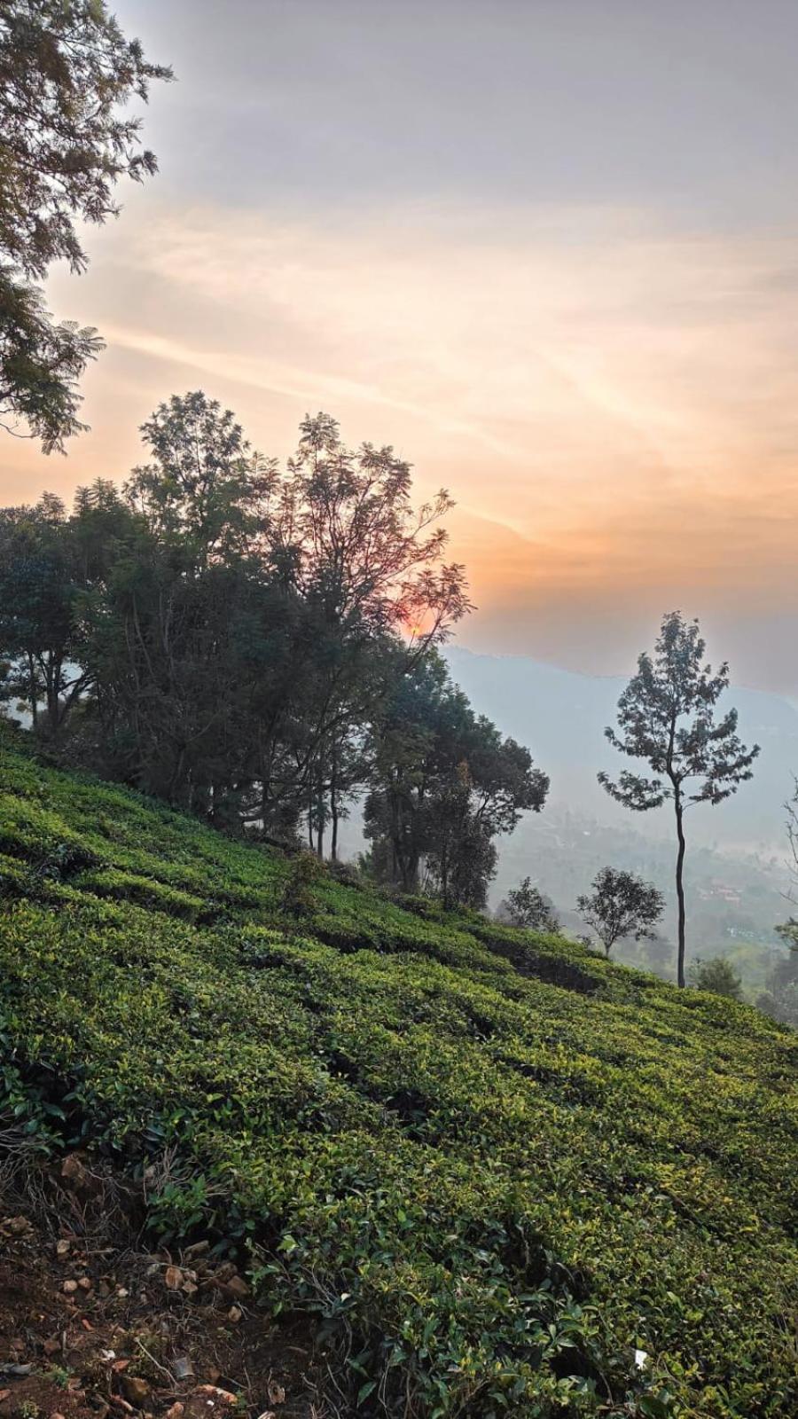 Moksha Infinity Valley Kotagiri Exterior foto